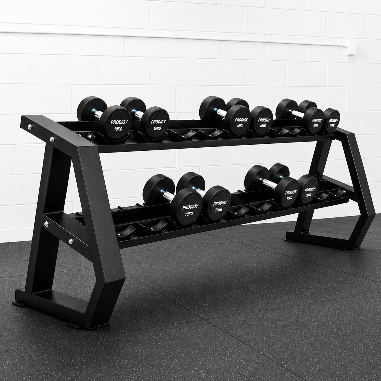 PRODIGY OVAL 10 Pair Dumbbell Rack