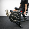 Prodigy 2-in-1 Leg Extension & Prone Leg Curl Machine – Plate Loaded